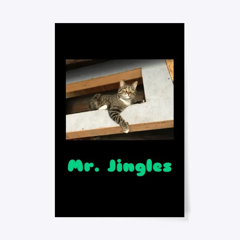 The Jingle Man