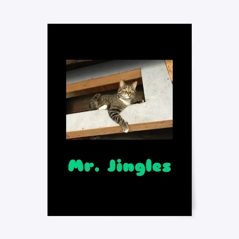 The Jingle Man